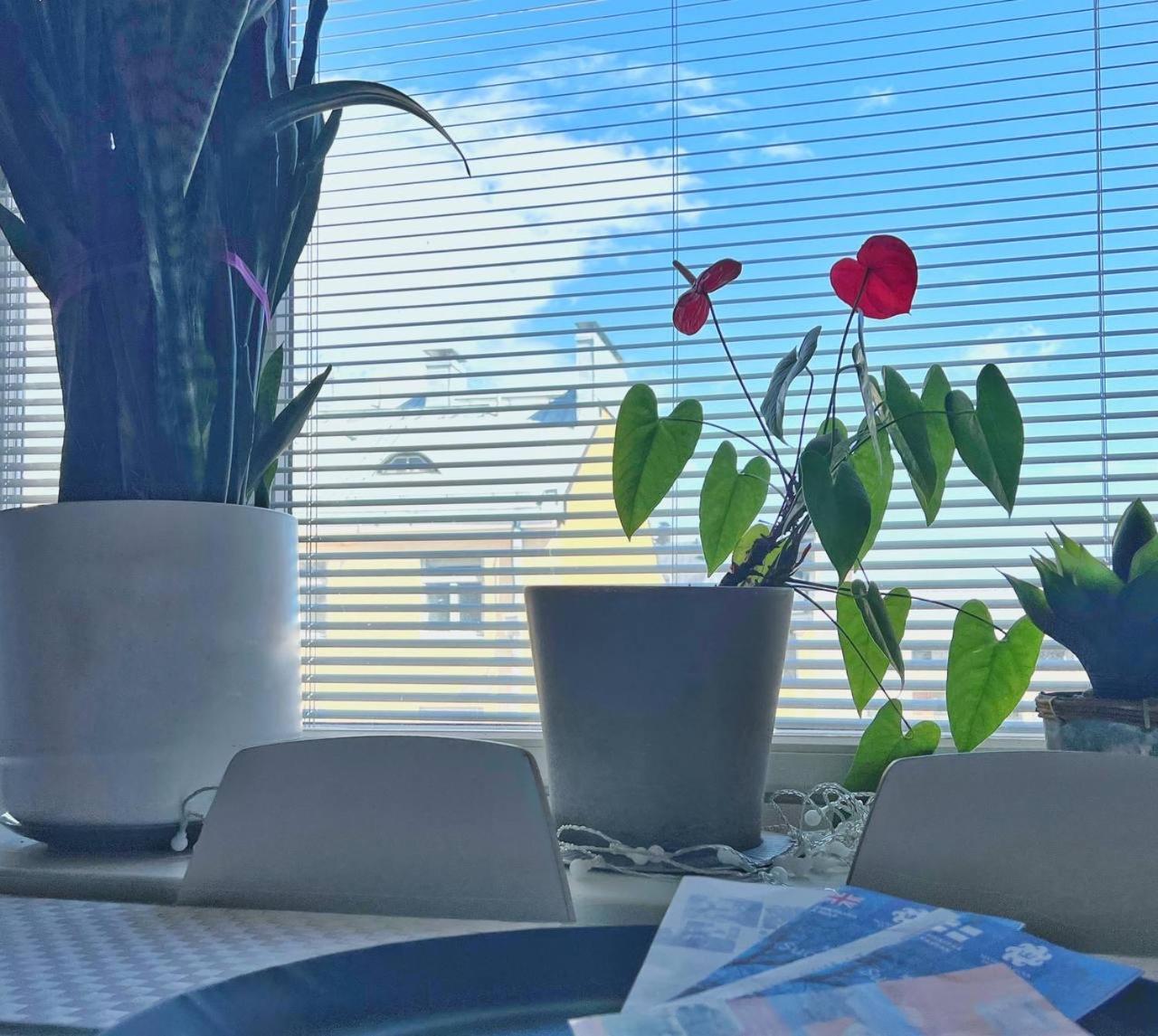 Scandinavian Desing Home 37 City Center In Kamppi Helsinki Ngoại thất bức ảnh